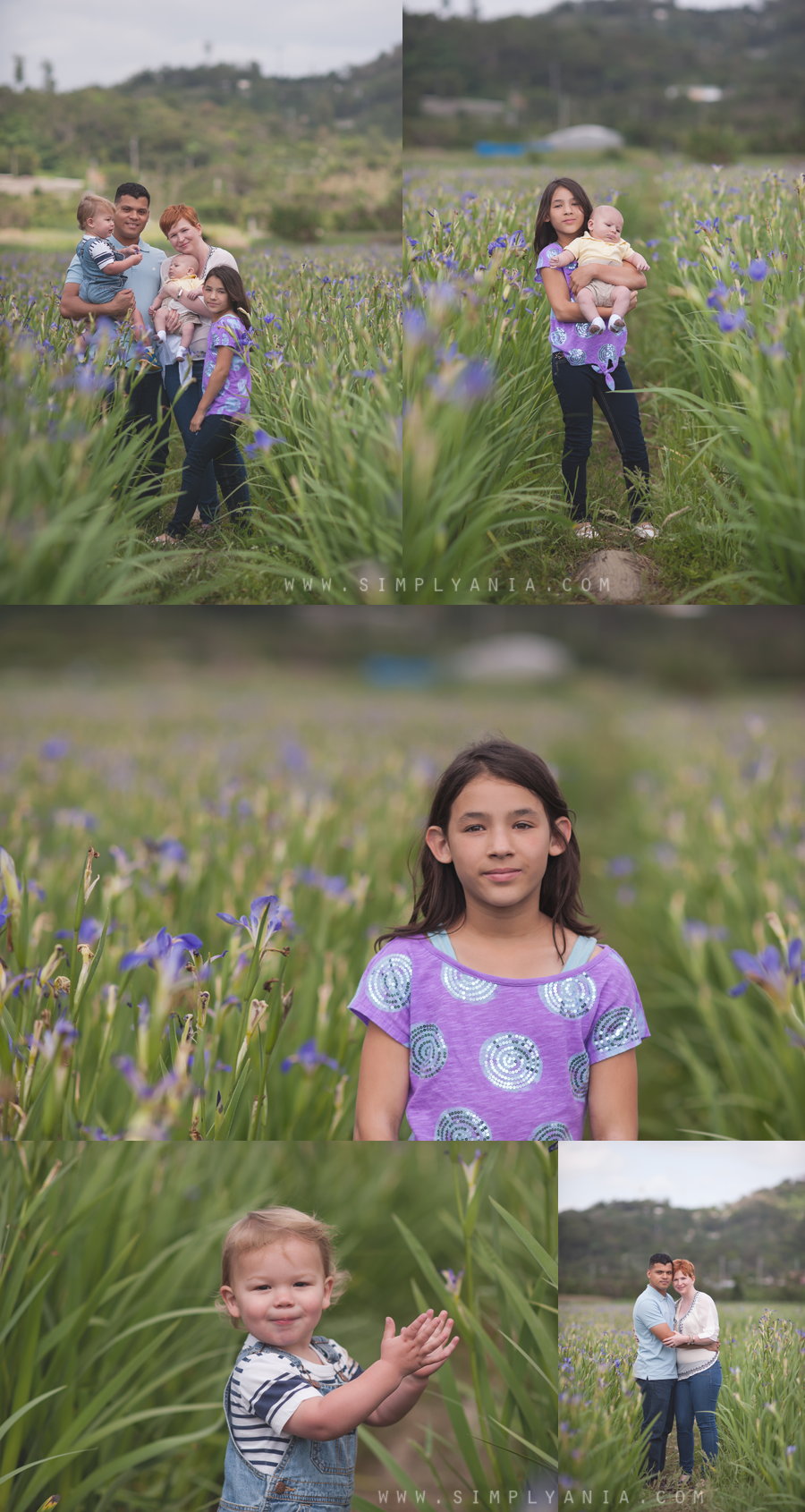 iris field minis by simply ania okinawa newborn photographer