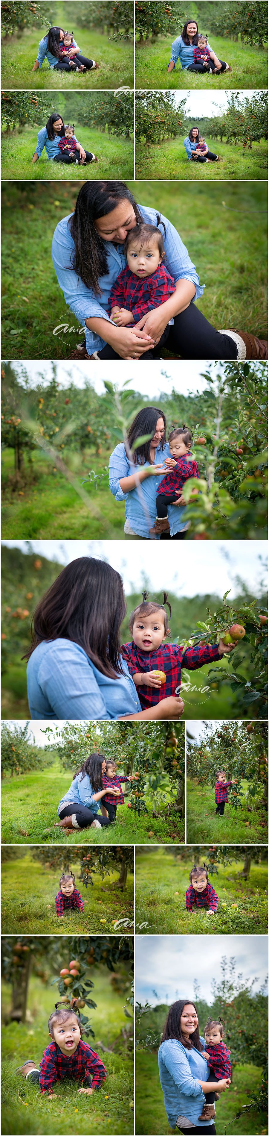 orchard-mini-session